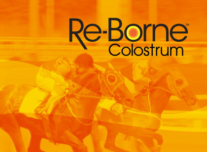 Re-Borne Colostrum online store