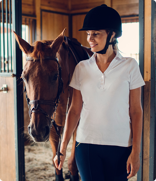 Rider with horse